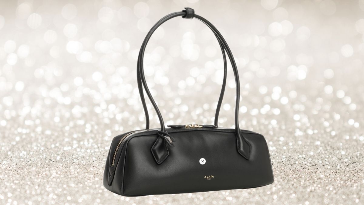 Alaïa Medium “Le Teckel” Bag: A Sculptural East-West Bag Designed to Stand Out